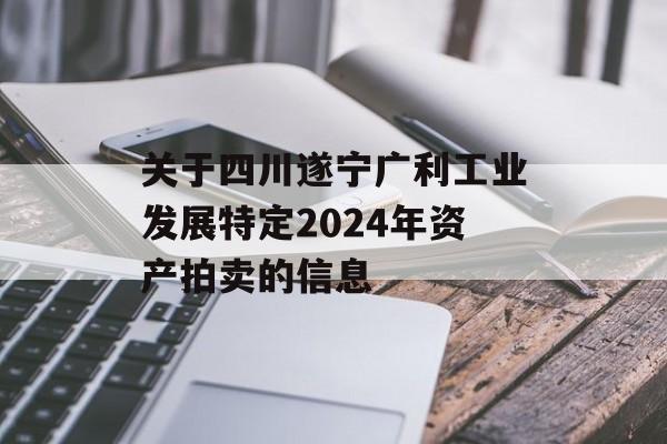 关于四川遂宁广利工业发展特定2024年资产拍卖的信息