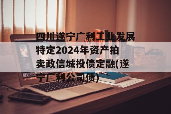 四川遂宁广利工业发展特定2024年资产拍卖政信城投债定融(遂宁广利公司债)