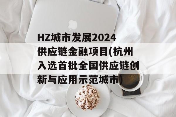 HZ城市发展2024供应链金融项目(杭州入选首批全国供应链创新与应用示范城市)