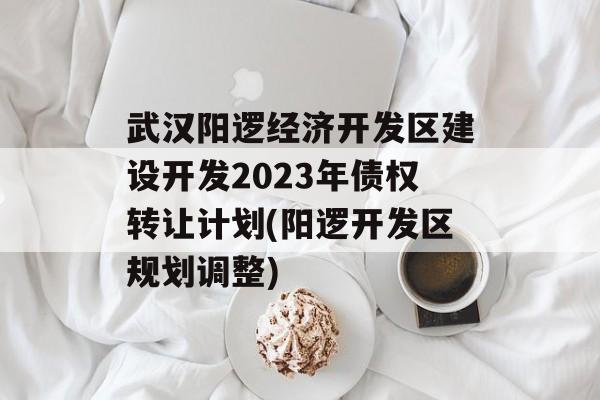 武汉阳逻经济开发区建设开发2023年债权转让计划(阳逻开发区规划调整)