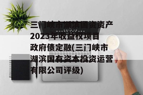 三门峡市湖滨国资资产2023年收益权项目政府债定融(三门峡市湖滨国有资本投资运营有限公司评级)