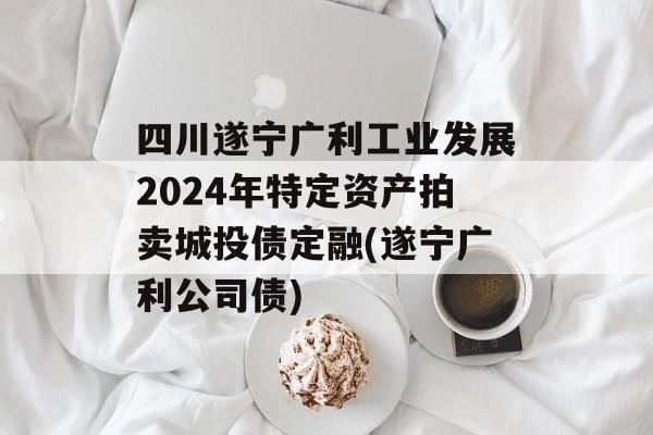 四川遂宁广利工业发展2024年特定资产拍卖城投债定融(遂宁广利公司债)