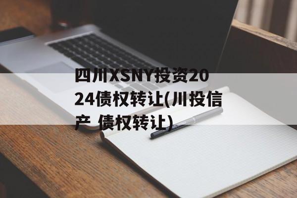 四川XSNY投资2024债权转让(川投信产 债权转让)