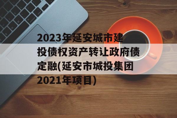 2023年延安城市建投债权资产转让政府债定融(延安市城投集团2021年项目)