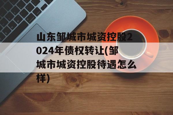 山东邹城市城资控股2024年债权转让(邹城市城资控股待遇怎么样)