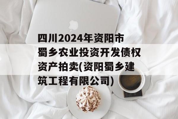 四川2024年资阳市蜀乡农业投资开发债权资产拍卖(资阳蜀乡建筑工程有限公司)