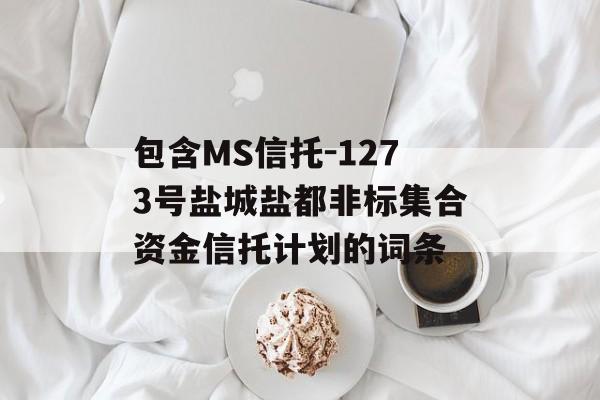 包含MS信托-1273号盐城盐都非标集合资金信托计划的词条