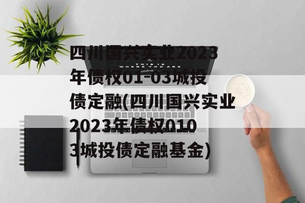 四川国兴实业2023年债权01-03城投债定融(四川国兴实业2023年债权0103城投债定融基金)