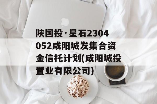 陕国投·星石2304052咸阳城发集合资金信托计划(咸阳城投置业有限公司)