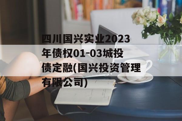 四川国兴实业2023年债权01-03城投债定融(国兴投资管理有限公司)