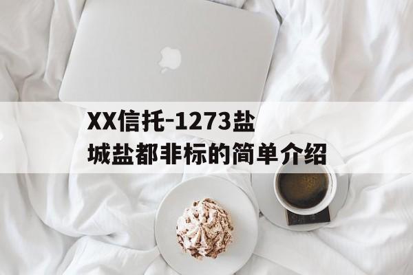 XX信托-1273盐城盐都非标的简单介绍