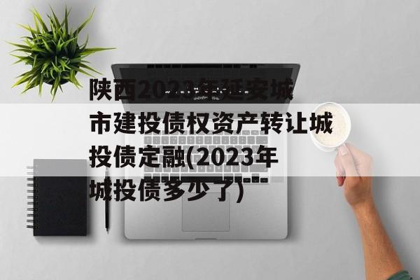 陕西2023年延安城市建投债权资产转让城投债定融(2023年城投债多少了)