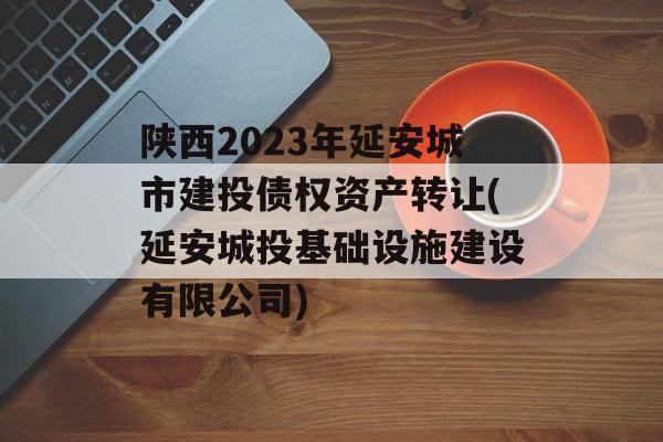 陕西2023年延安城市建投债权资产转让(延安城投基础设施建设有限公司)