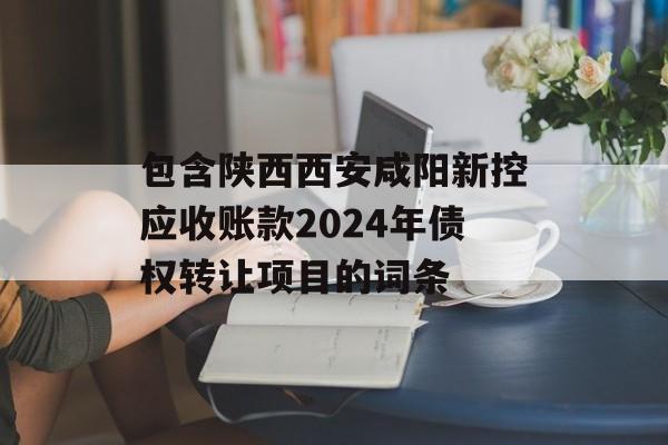 包含陕西西安咸阳新控应收账款2024年债权转让项目的词条