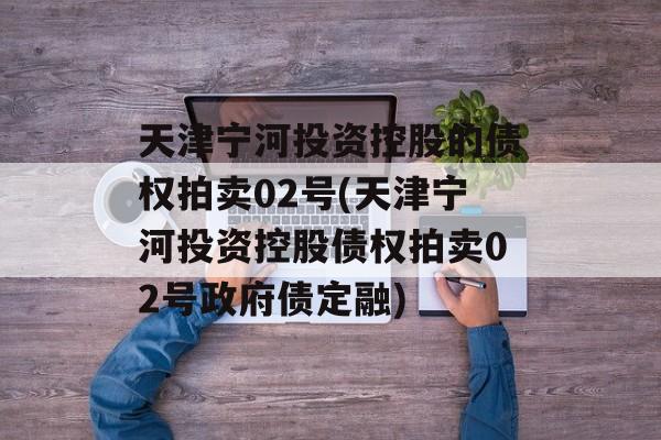 天津宁河投资控股的债权拍卖02号(天津宁河投资控股债权拍卖02号政府债定融)