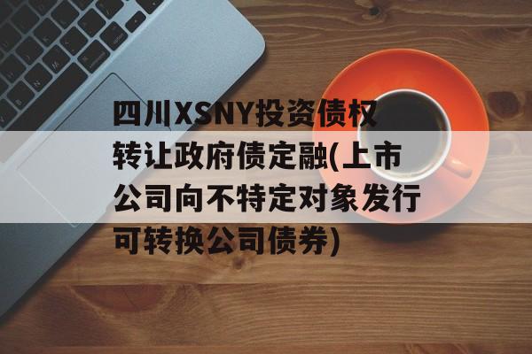 四川XSNY投资债权转让政府债定融(上市公司向不特定对象发行可转换公司债券)