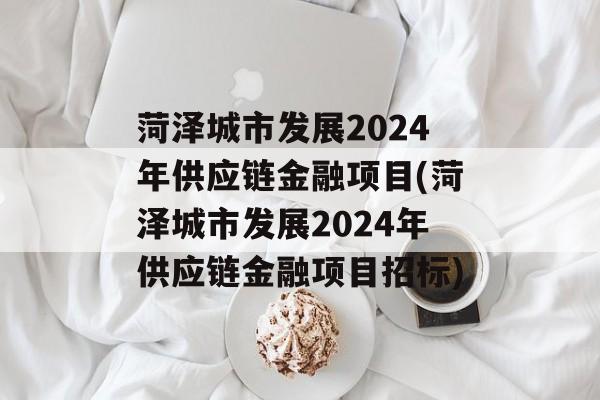 菏泽城市发展2024年供应链金融项目(菏泽城市发展2024年供应链金融项目招标)