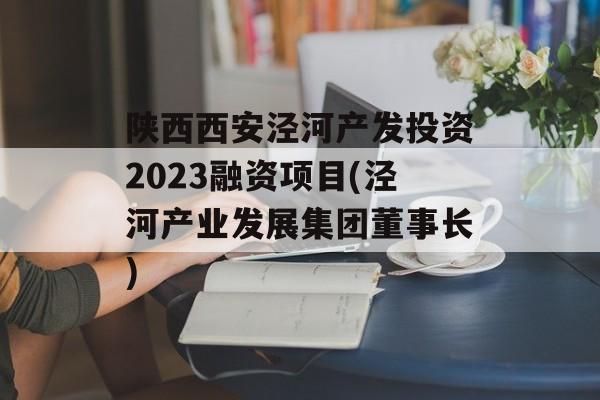 陕西西安泾河产发投资2023融资项目(泾河产业发展集团董事长)