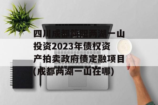 四川成都简阳两湖一山投资2023年债权资产拍卖政府债定融项目(成都两湖一山在哪)