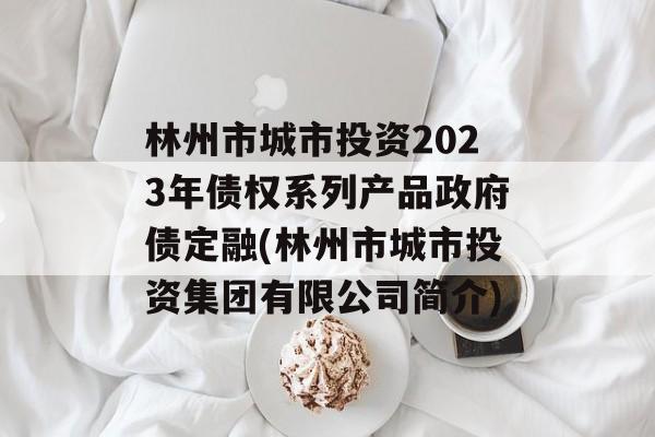 林州市城市投资2023年债权系列产品政府债定融(林州市城市投资集团有限公司简介)