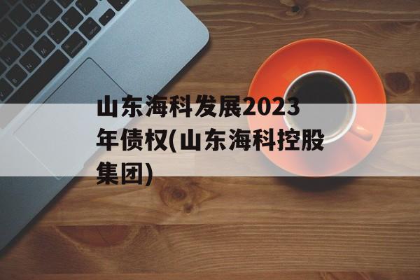 山东海科发展2023年债权(山东海科控股集团)