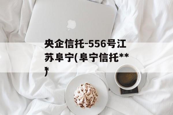 央企信托-556号江苏阜宁(阜宁信托***
)