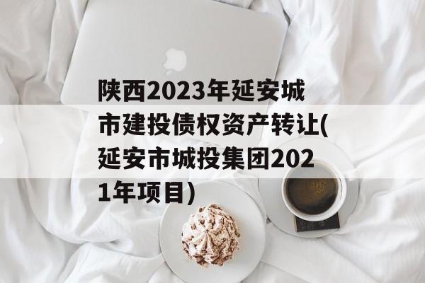 陕西2023年延安城市建投债权资产转让(延安市城投集团2021年项目)