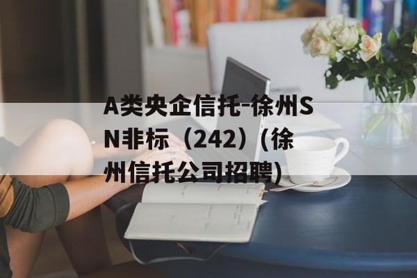 A类央企信托-徐州SN非标（242）(徐州信托公司招聘)