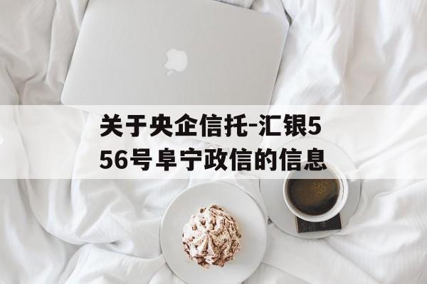 关于央企信托-汇银556号阜宁政信的信息