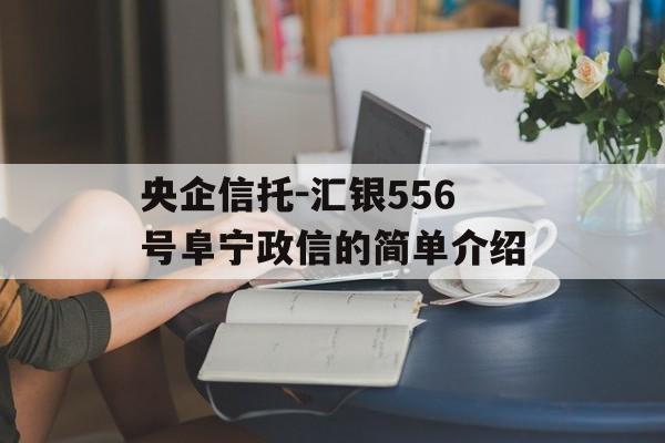 央企信托-汇银556号阜宁政信的简单介绍