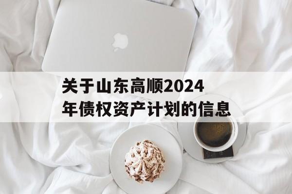 关于山东高顺2024年债权资产计划的信息