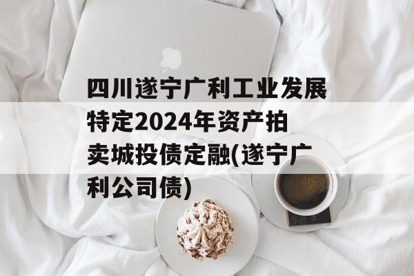 四川遂宁广利工业发展特定2024年资产拍卖城投债定融(遂宁广利公司债)