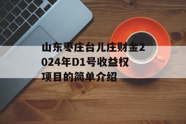 山东枣庄台儿庄财金2024年D1号收益权项目的简单介绍