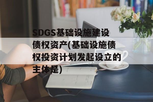 SDGS基础设施建设债权资产(基础设施债权投资计划发起设立的主体是)