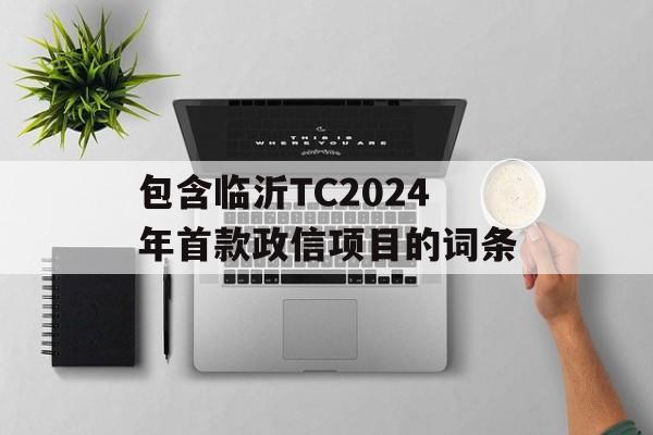 包含临沂TC2024年首款政信项目的词条