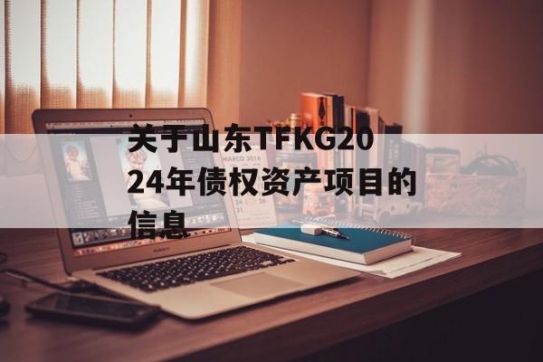 关于山东TFKG2024年债权资产项目的信息