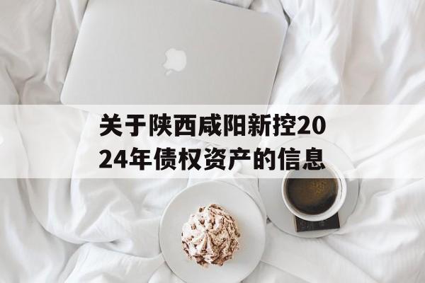 关于陕西咸阳新控2024年债权资产的信息