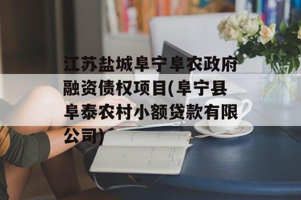 江苏盐城阜宁阜农政府融资债权项目(阜宁县阜泰农村小额贷款有限公司)