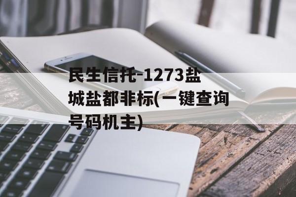 民生信托-1273盐城盐都非标(一键查询号码机主)