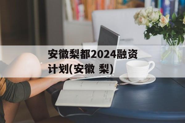 安徽梨都2024融资计划(安徽 梨)