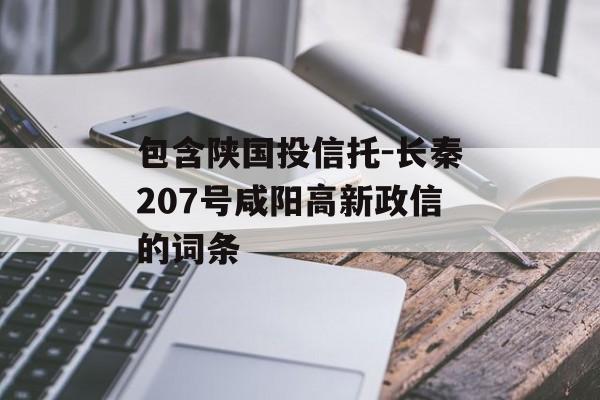 包含陕国投信托-长秦207号咸阳高新政信的词条