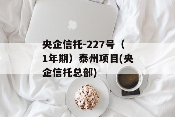 央企信托-227号（1年期）泰州项目(央企信托总部)