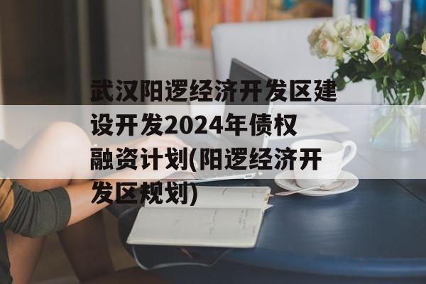 武汉阳逻经济开发区建设开发2024年债权融资计划(阳逻经济开发区规划)