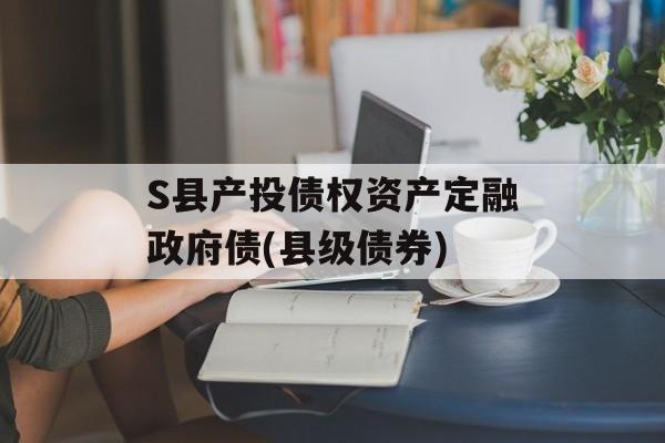 S县产投债权资产定融政府债(县级债券)