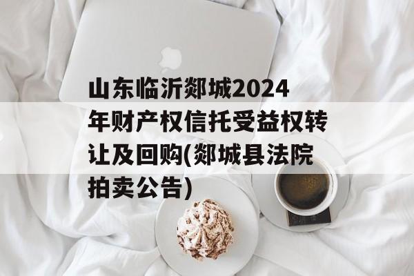 山东临沂郯城2024年财产权信托受益权转让及回购(郯城县法院拍卖公告)