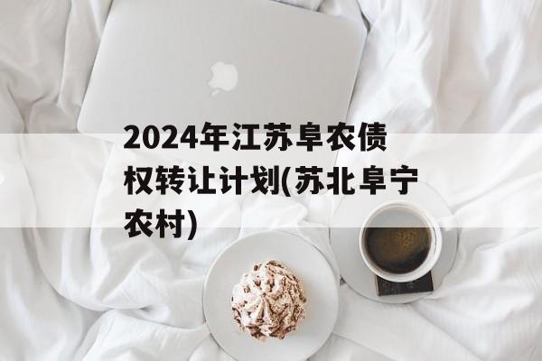 2024年江苏阜农债权转让计划(苏北阜宁农村)