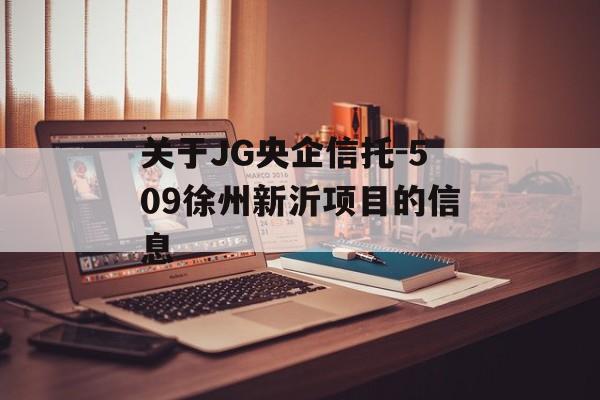 关于JG央企信托-509徐州新沂项目的信息