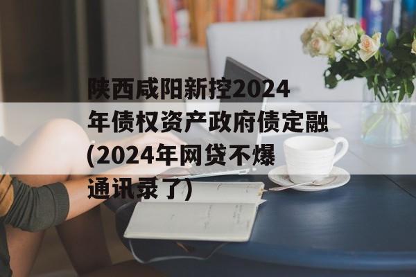 陕西咸阳新控2024年债权资产政府债定融(2024年网贷不爆通讯录了)