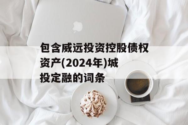 包含威远投资控股债权资产(2024年)城投定融的词条