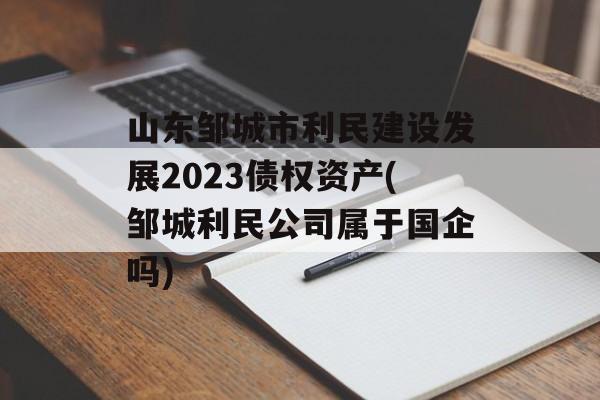 山东邹城市利民建设发展2023债权资产(邹城利民公司属于国企吗)